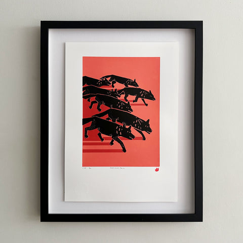 Find Your Pack