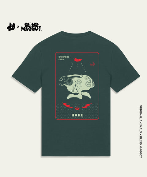 The Hare Underdog Card