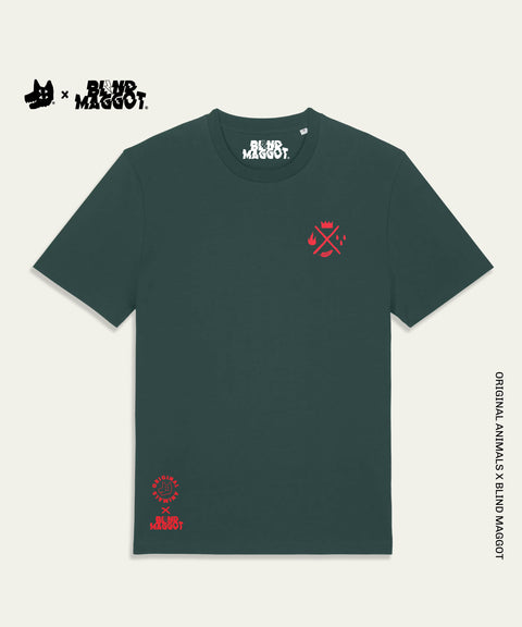 The Hare Underdog Card